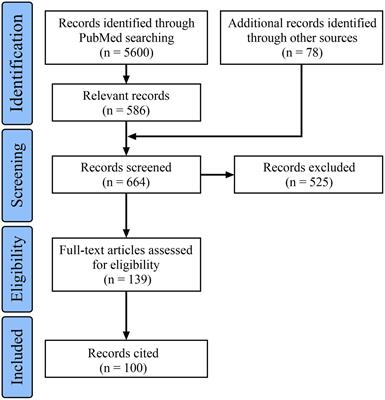 Endovascular treatment of middle cerebral artery aneurysms: current status and future prospects